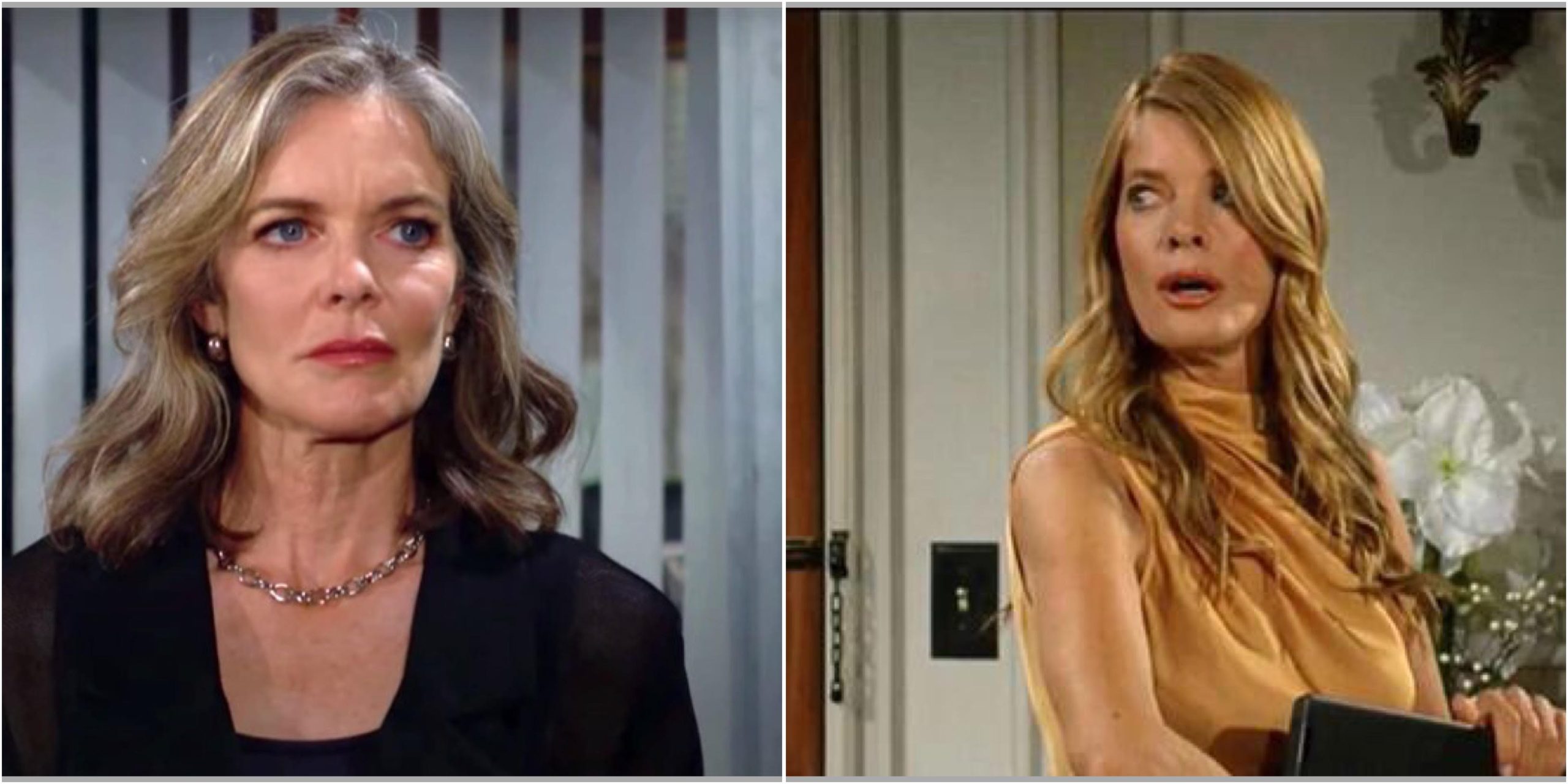 The Young and The Restless Spoilers Diane Jenkins Phyllis Summers