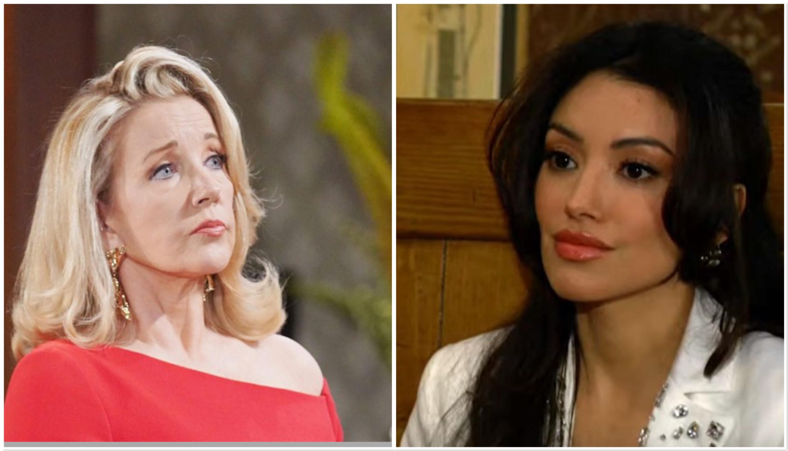 Young Restless Spoilers Nikki Audra