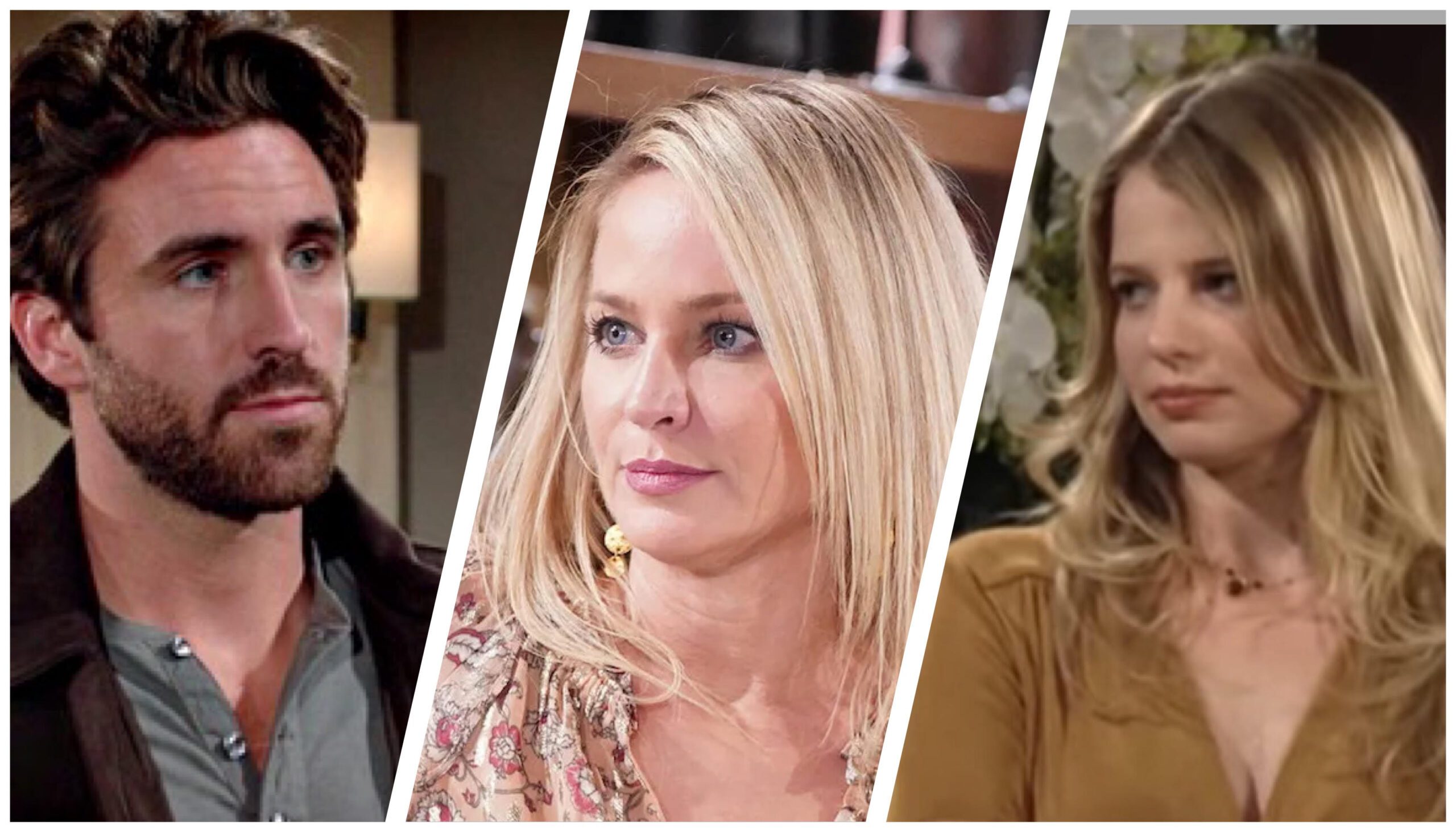 The Young and the Restless spoilers Chance Sharon Summer