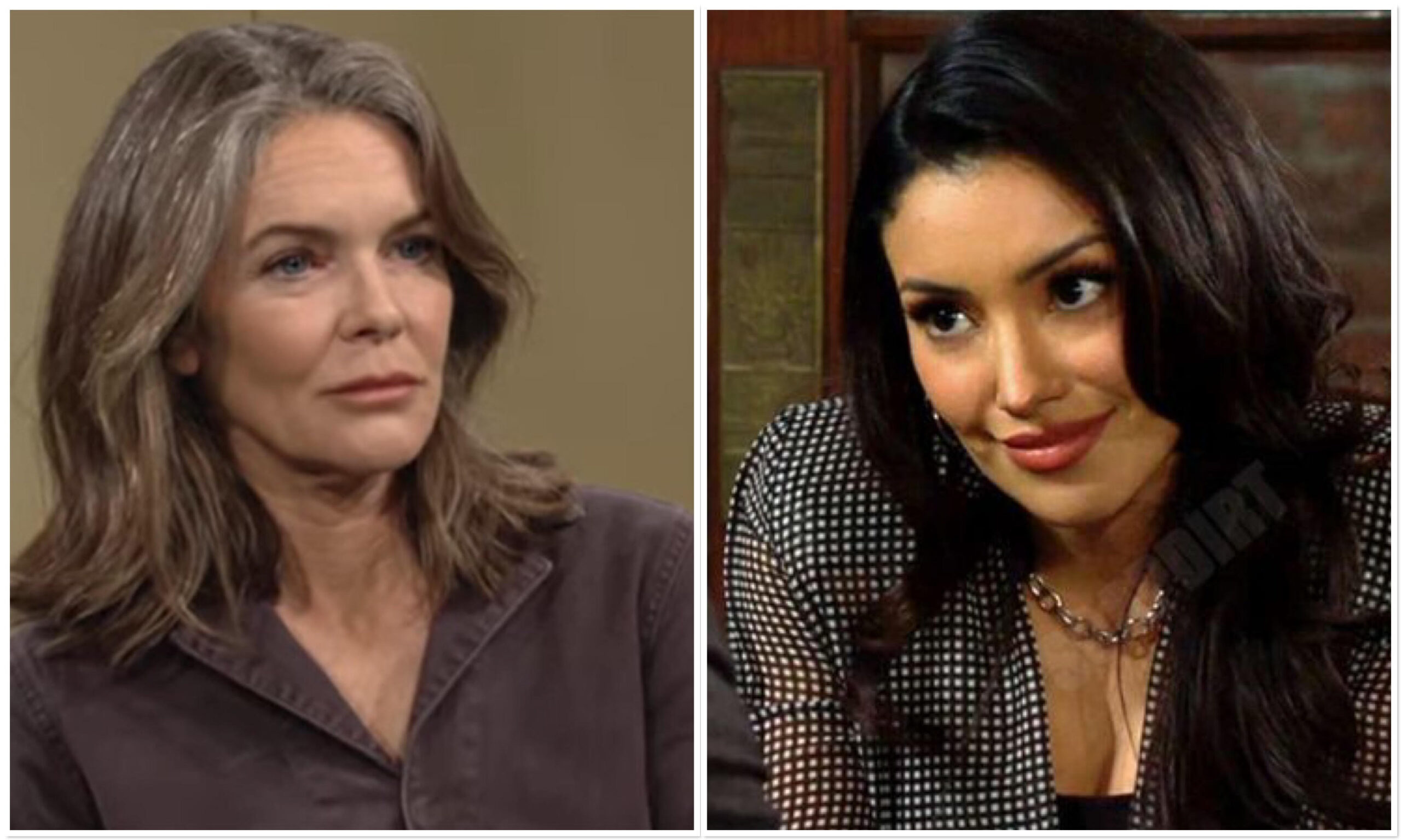 The Young and the Restless spoilers featuring Diane Jenkins Abbott Audra Charles