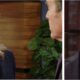 The Young and The Restless spoilers Diane Jenkins Jack Abbott Tucker McCall