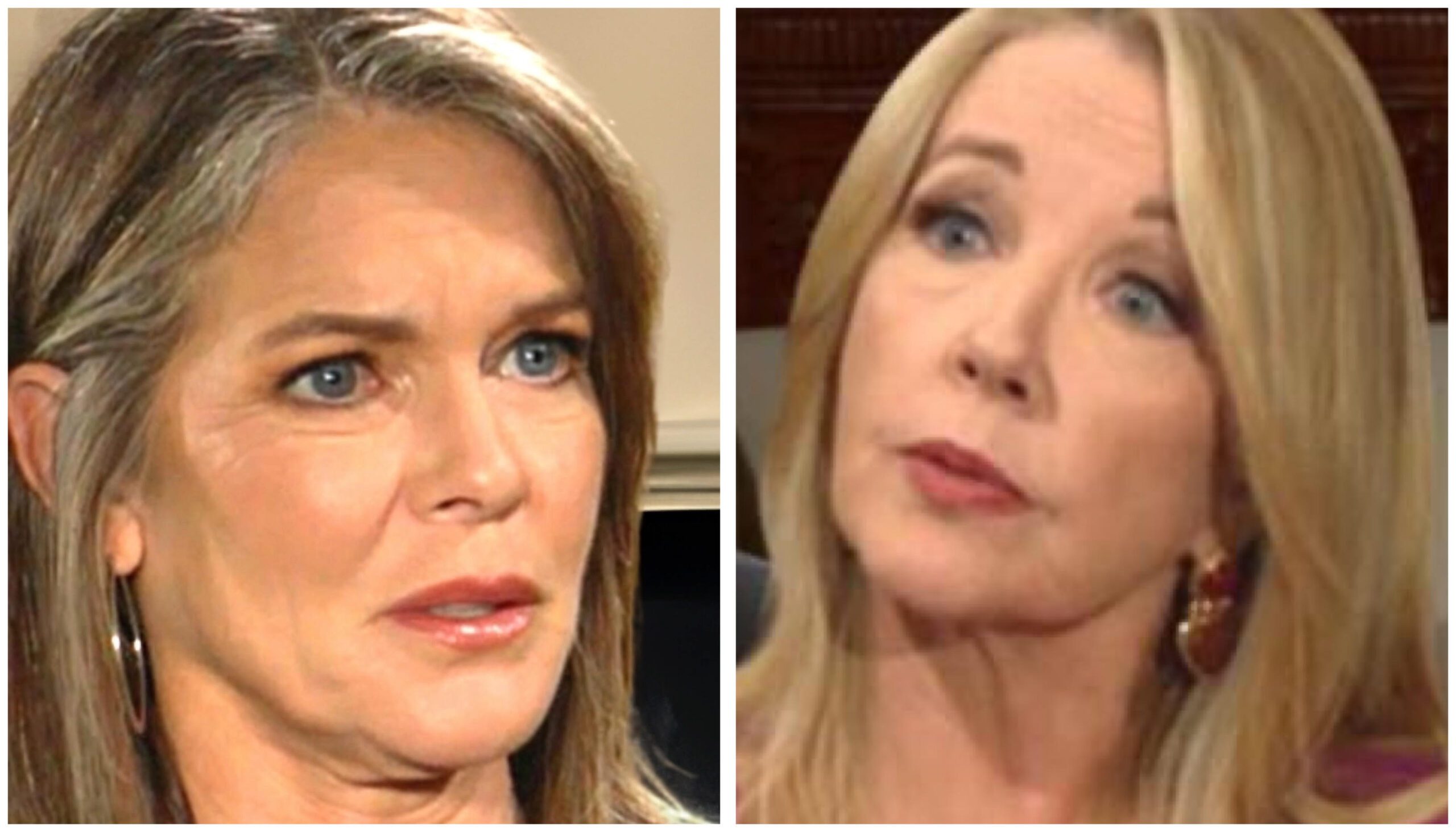 The Young and the Restless spoilers Nikki Newman Diane