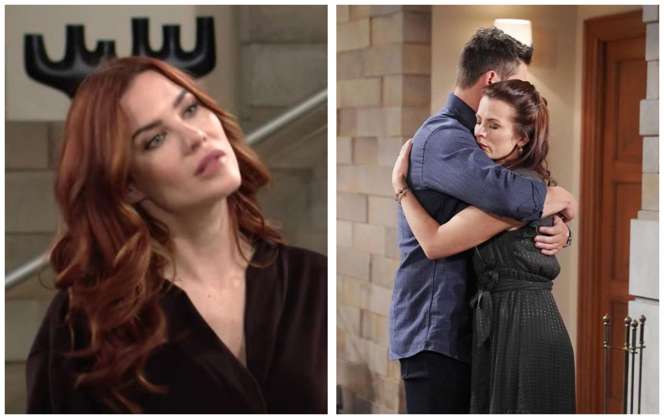 The Young and the Restless spoilers Sally Specta Adam Newman Chelsea Lawson
