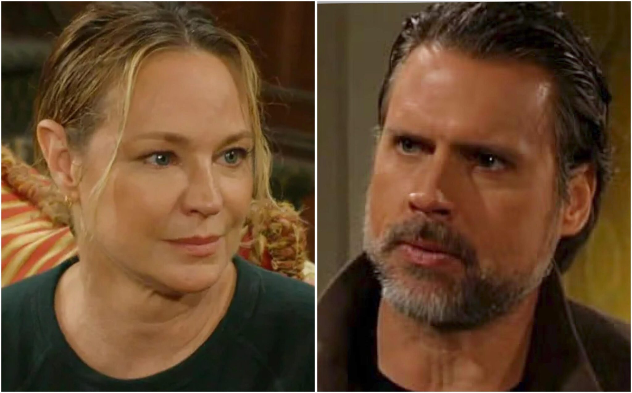 The Young and the Restless Spoilers: Sharon and Nick's Romantic Future