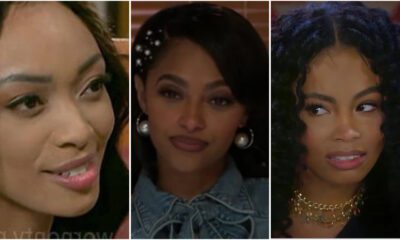 madison kitkat chelsea rescue