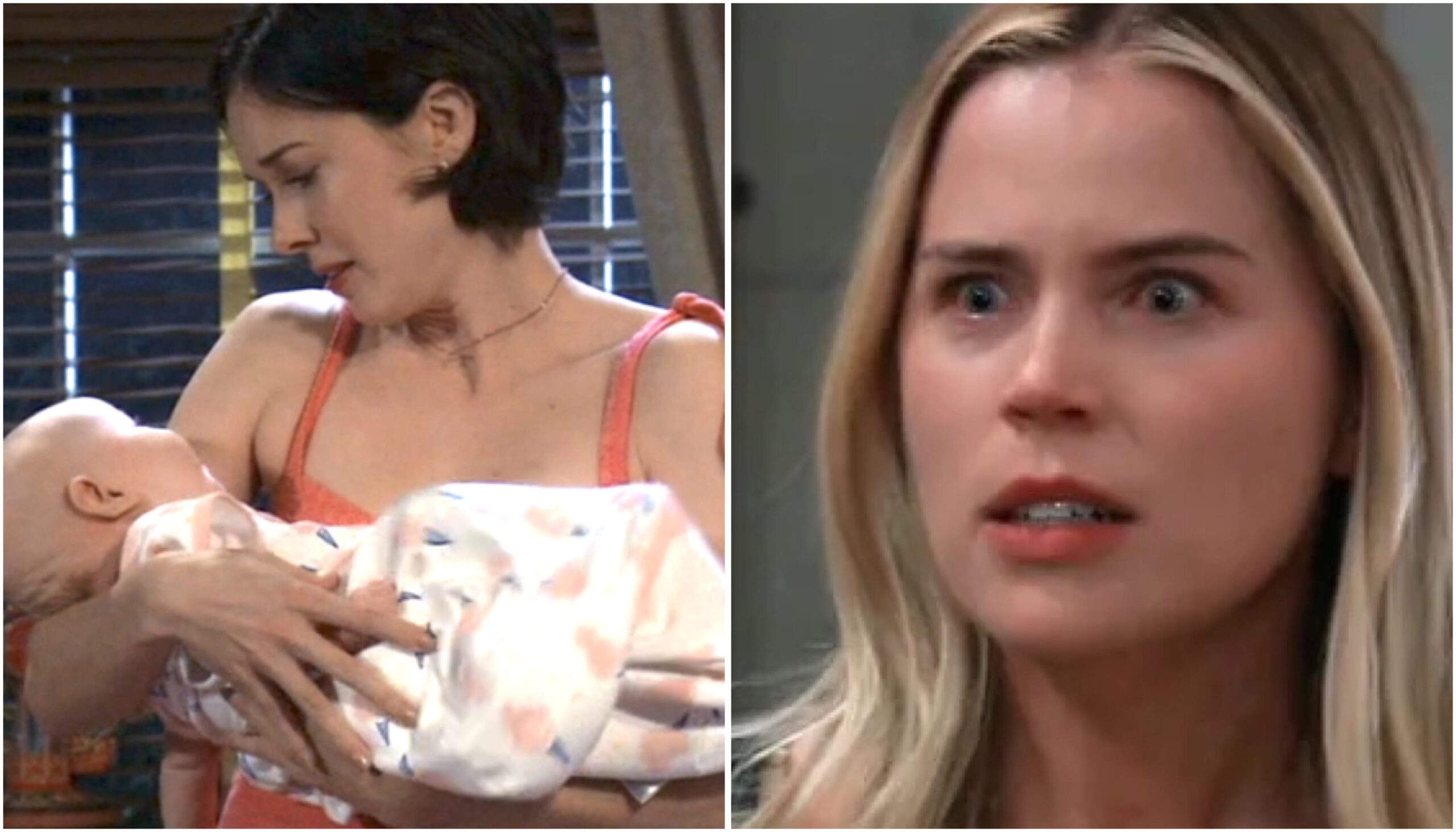 willow sasha revenge