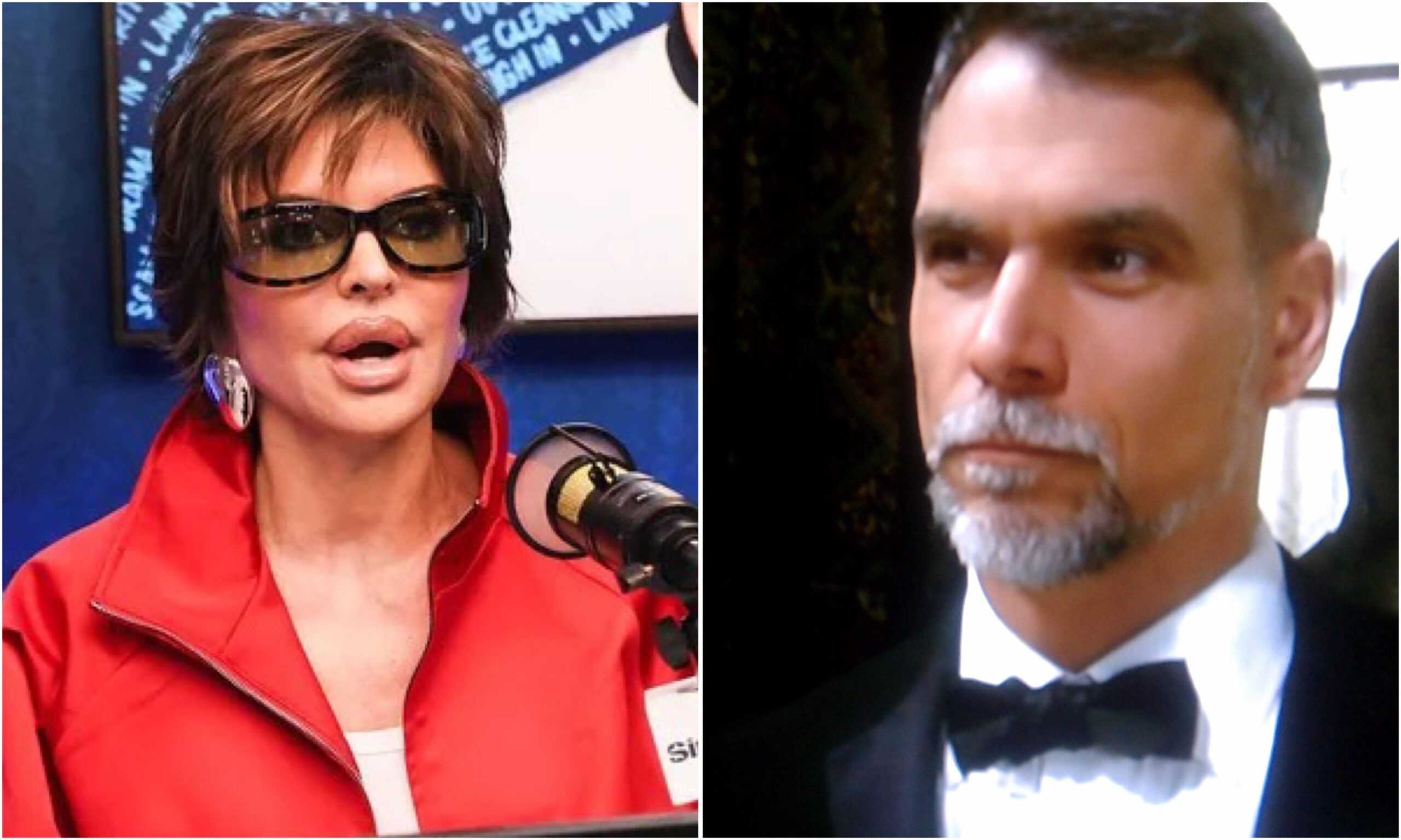 lisa rinna kelker kelly
