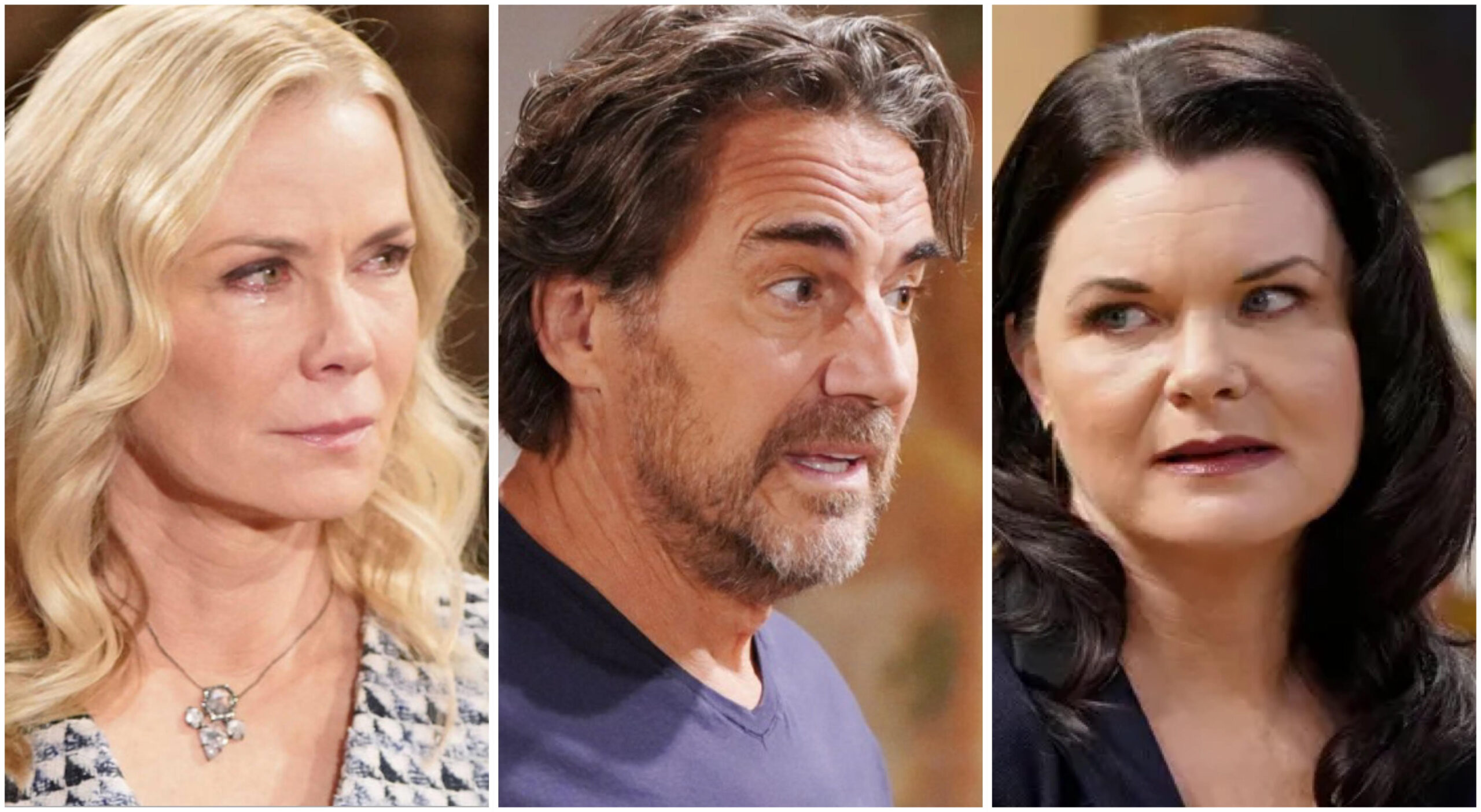 ridge forrester fury