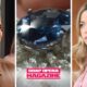 Bold and the Beautiful Spoilers (B&B Spoilers) Shauna Fulton, Wyatt Spencer