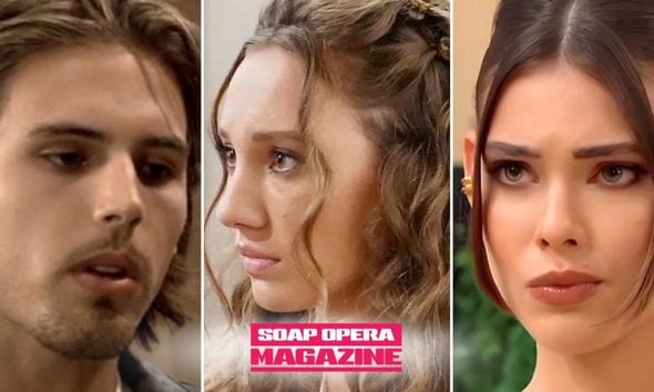 Will Spencer and Melissa Dylan on The Bold and the Beautiful Spoilers