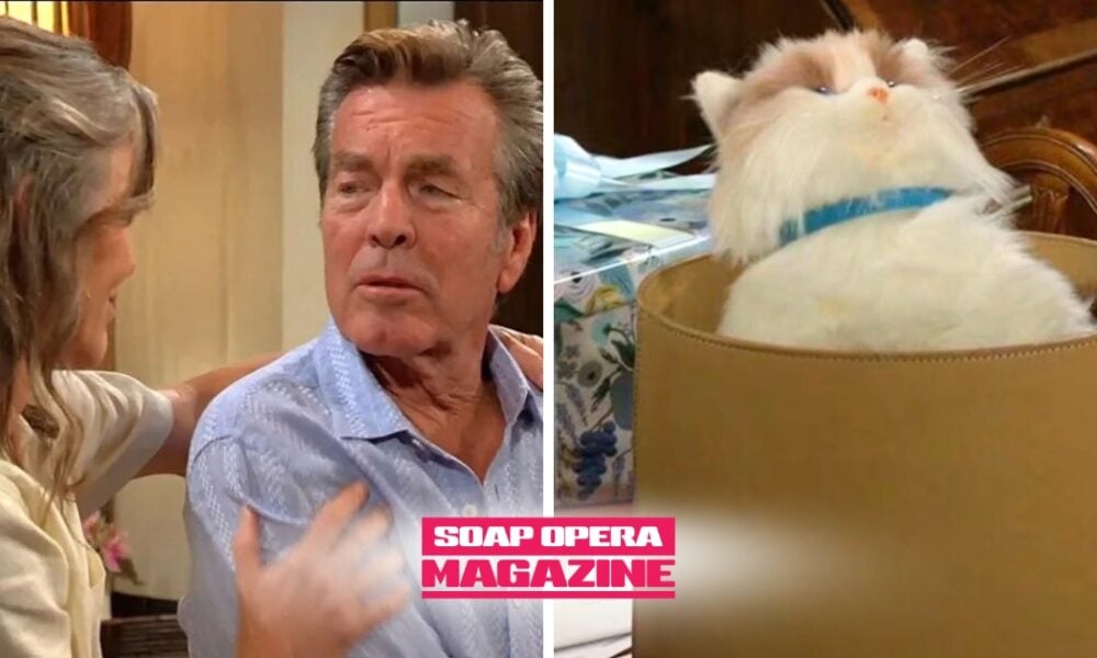 Young and the Restless Spoilers (Y&R Spoilers), Young and the Restless Recap (Y&R Recap) Jack Abbott, Diane Jenkins