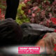 Steve Johnson (Stephen Nichols) is tased outside George O'Halloran's house as Abe Carver (James Reynolds) hides a health scare in the Days of Our Lives recap, October 22, 2026
